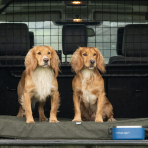 The Winslow Dog Bed - Image 2