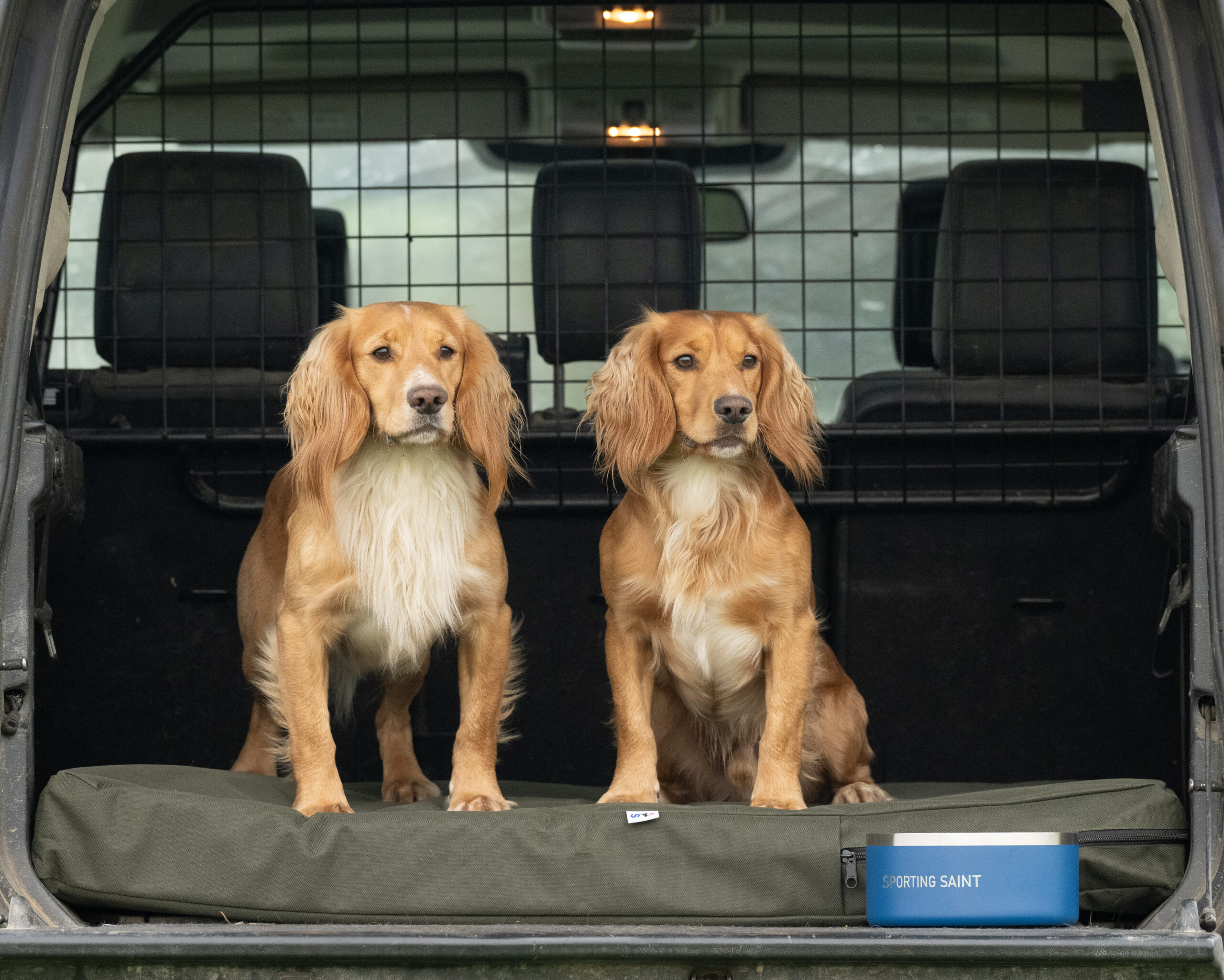 The Winslow Dog Bed - Image 2