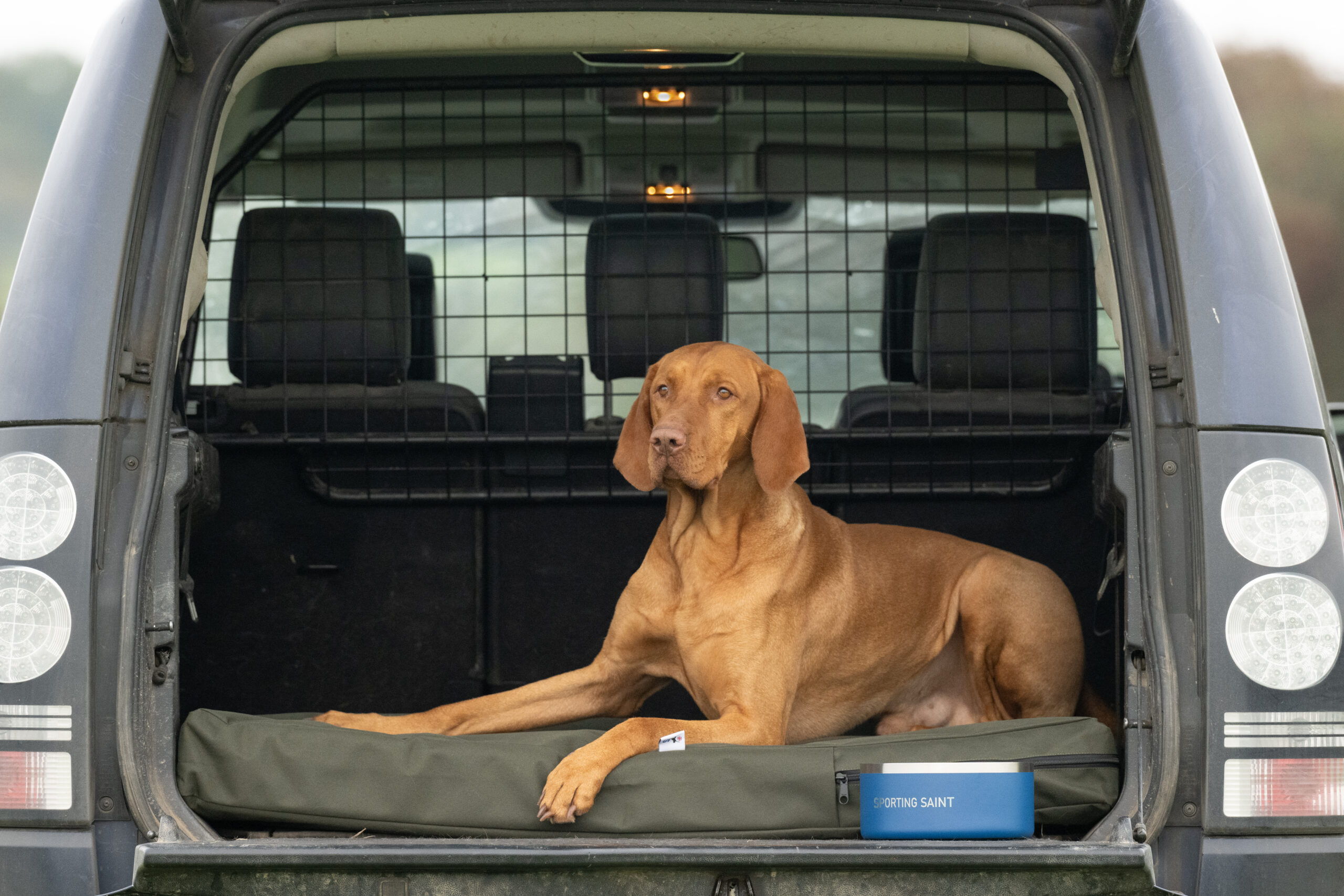 The Winslow Dog Bed - Image 4