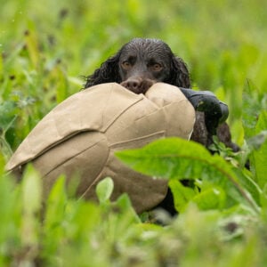 Dead Bird Dummy - Goose - Image 2