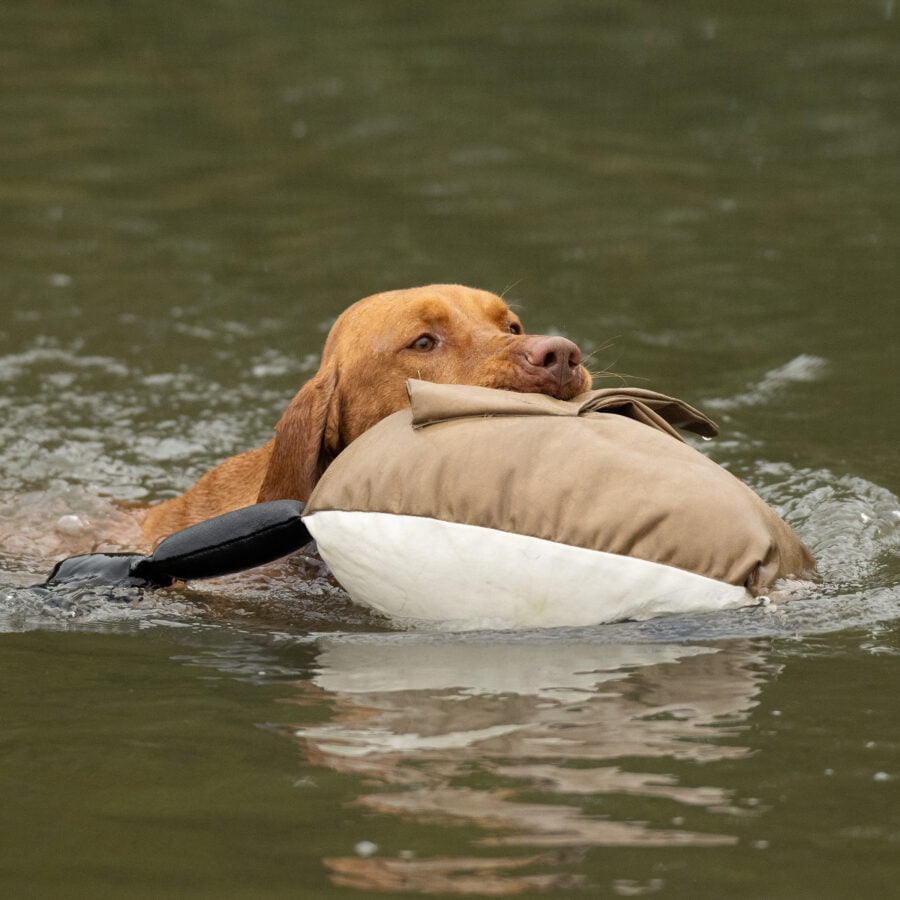 Dead Bird Dummy - Goose