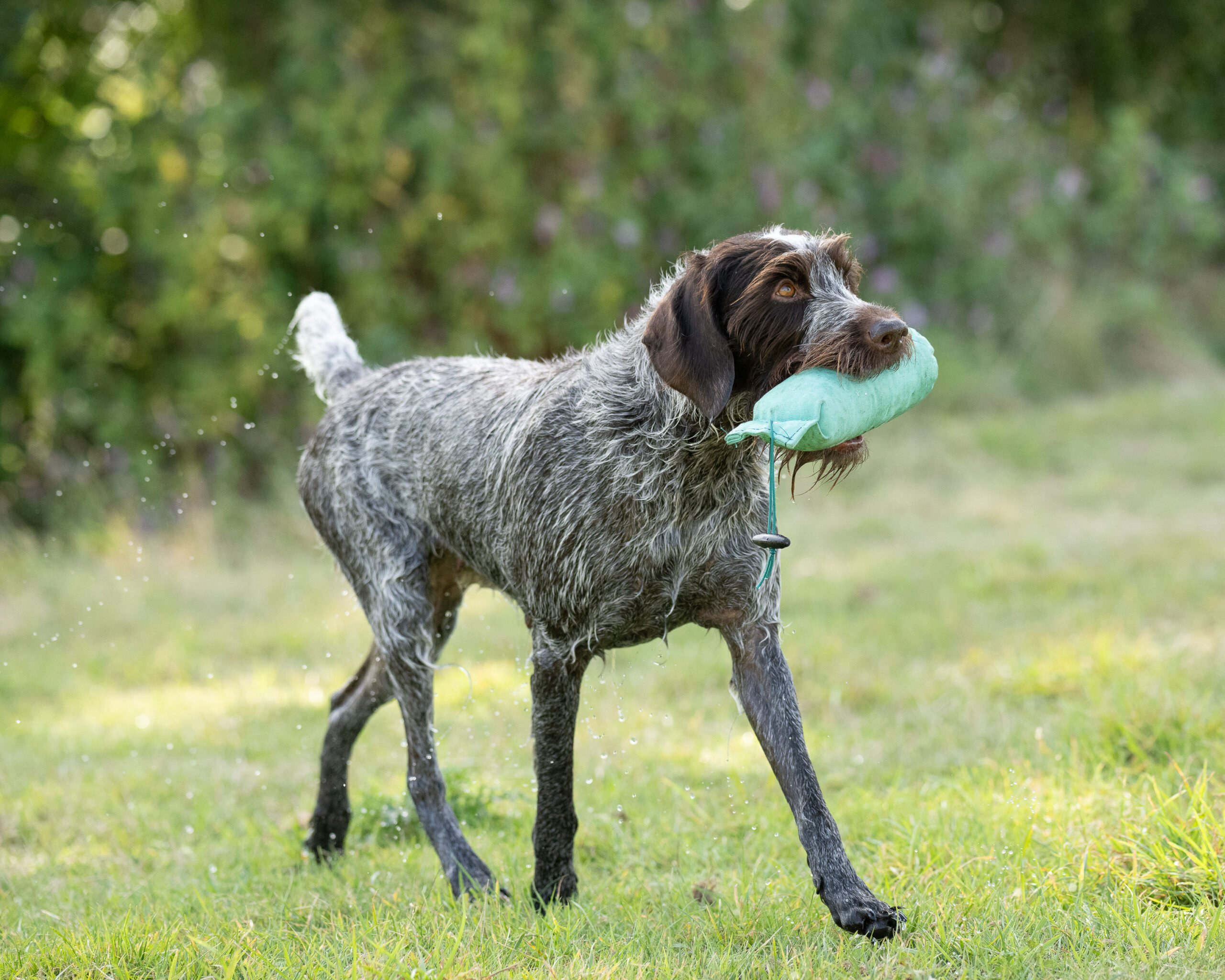 1lb Canvas Dummy - Image 2