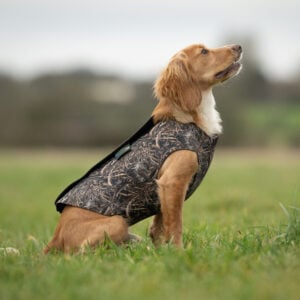 Neoprene Dog Vest - Image 3