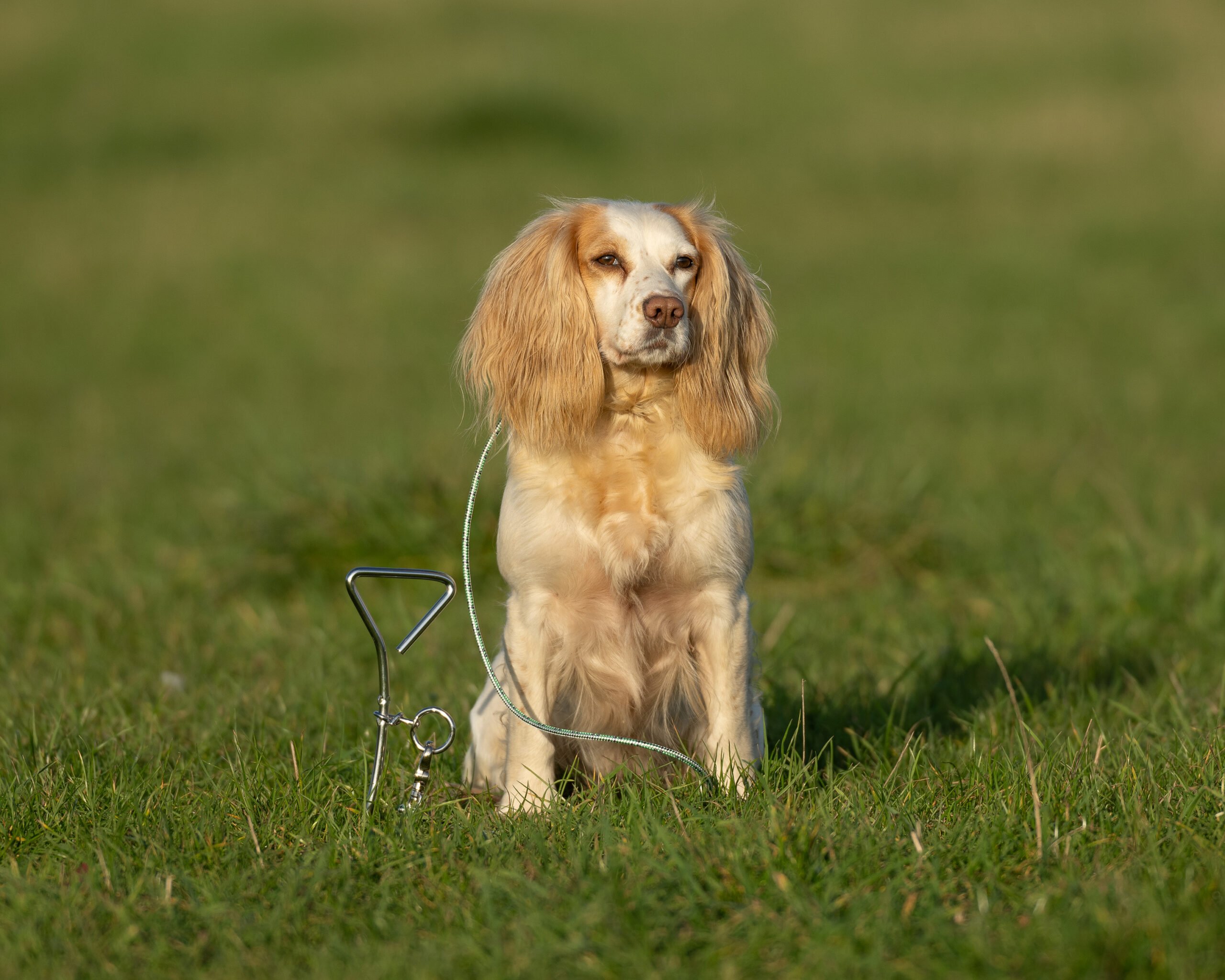 Cork Screw Tether - Image 2