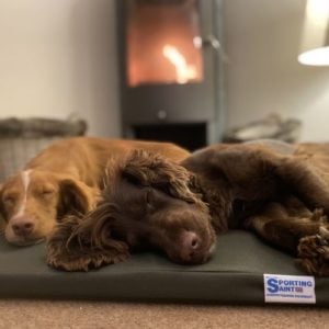 The Meadow Boot Dog Bed - Image 2