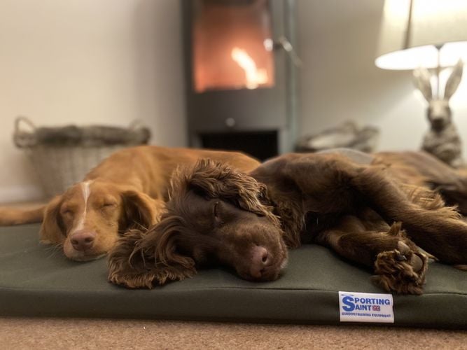 The Meadow Boot Dog Bed - Image 2