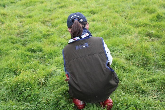 Winslow Junior Training Vest - Image 4
