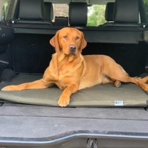 The Meadow Boot Dog Bed - Image 5