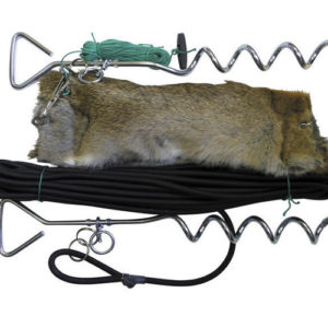 Bolting Rabbit - Image 5