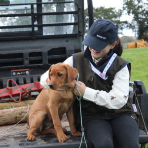 Winslow Junior Training Vest - Image 3