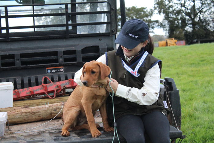 Winslow Junior Training Vest - Image 3