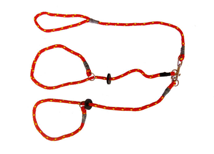 Brace Set - Slip Lead (2 Dogs) - Image 10