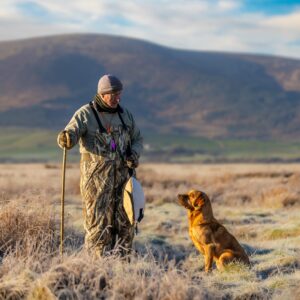 Dead Bird Dummy - Goose - Image 3