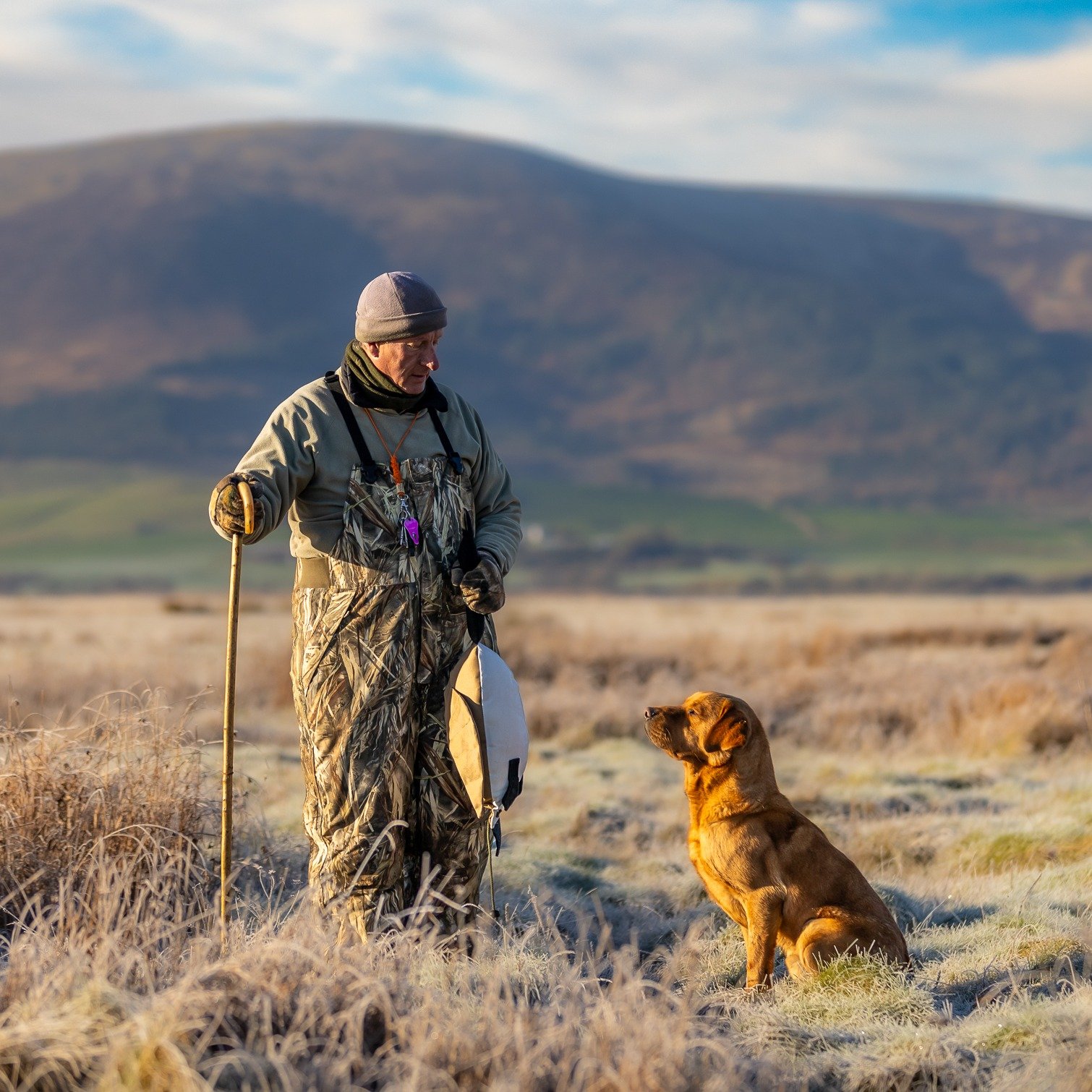 Dead Bird Dummy - Goose