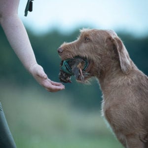 Cold Game Wrap - Image 2