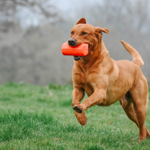 Super Pro LOW RECOIL Dummy Launcher - Image 2