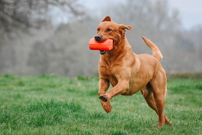 Super Pro LOW RECOIL Dummy Launcher - Image 2