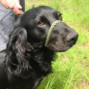 Figure of 8 Lead - Image 3