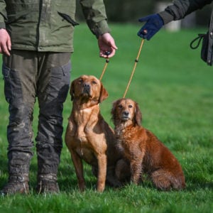 Field Trial PRO Heeling Lead - Image 2