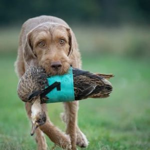 Cold Game Wrap - Image 1