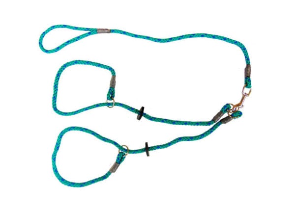 Brace Set - Slip Lead (2 Dogs)
