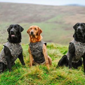 Neoprene Dog Vest - Image 4