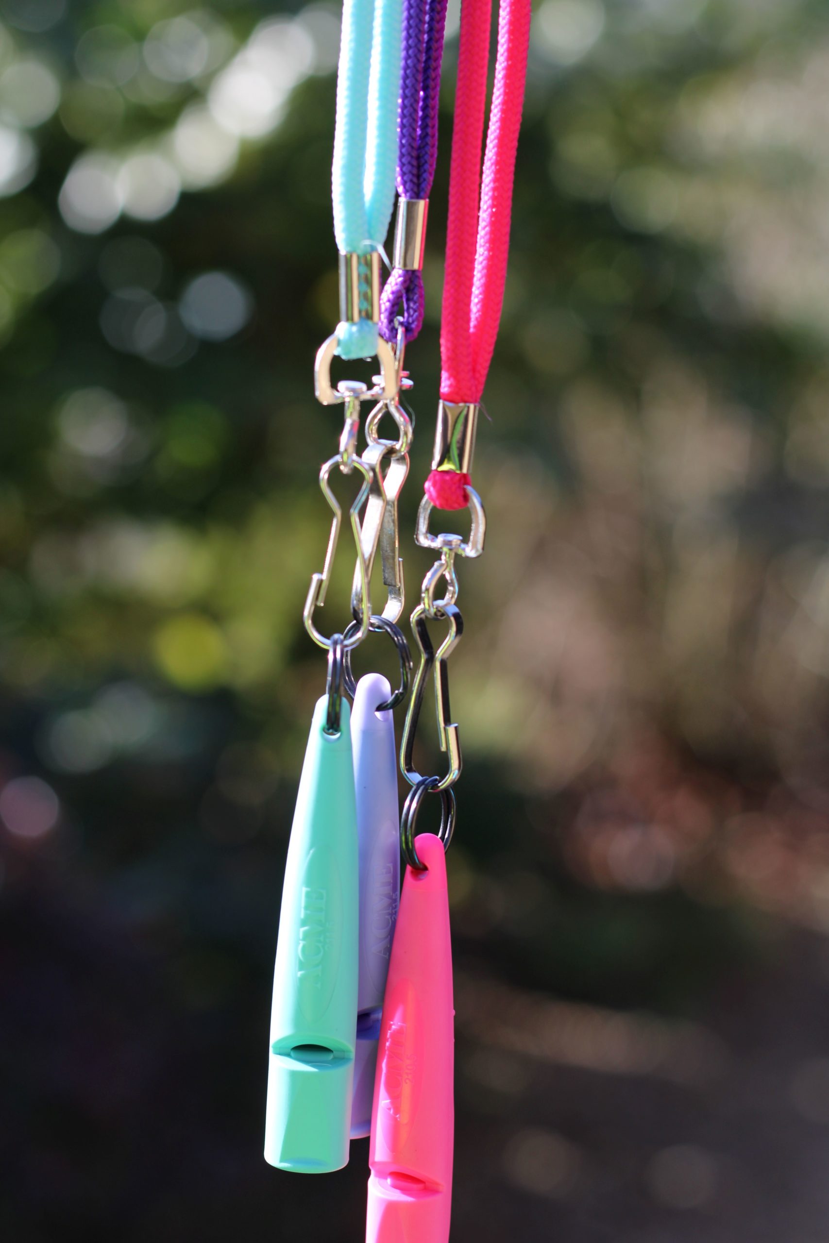 Fixed Neck Lanyard - Image 2