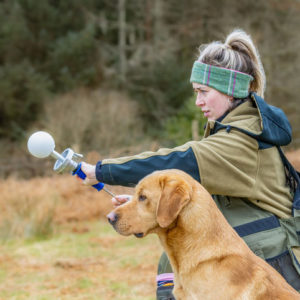 Sporting Saint Launcher Ball - Image 2