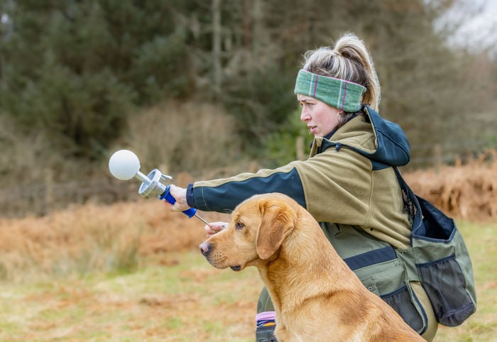 Sporting Saint Launcher Ball - Image 2