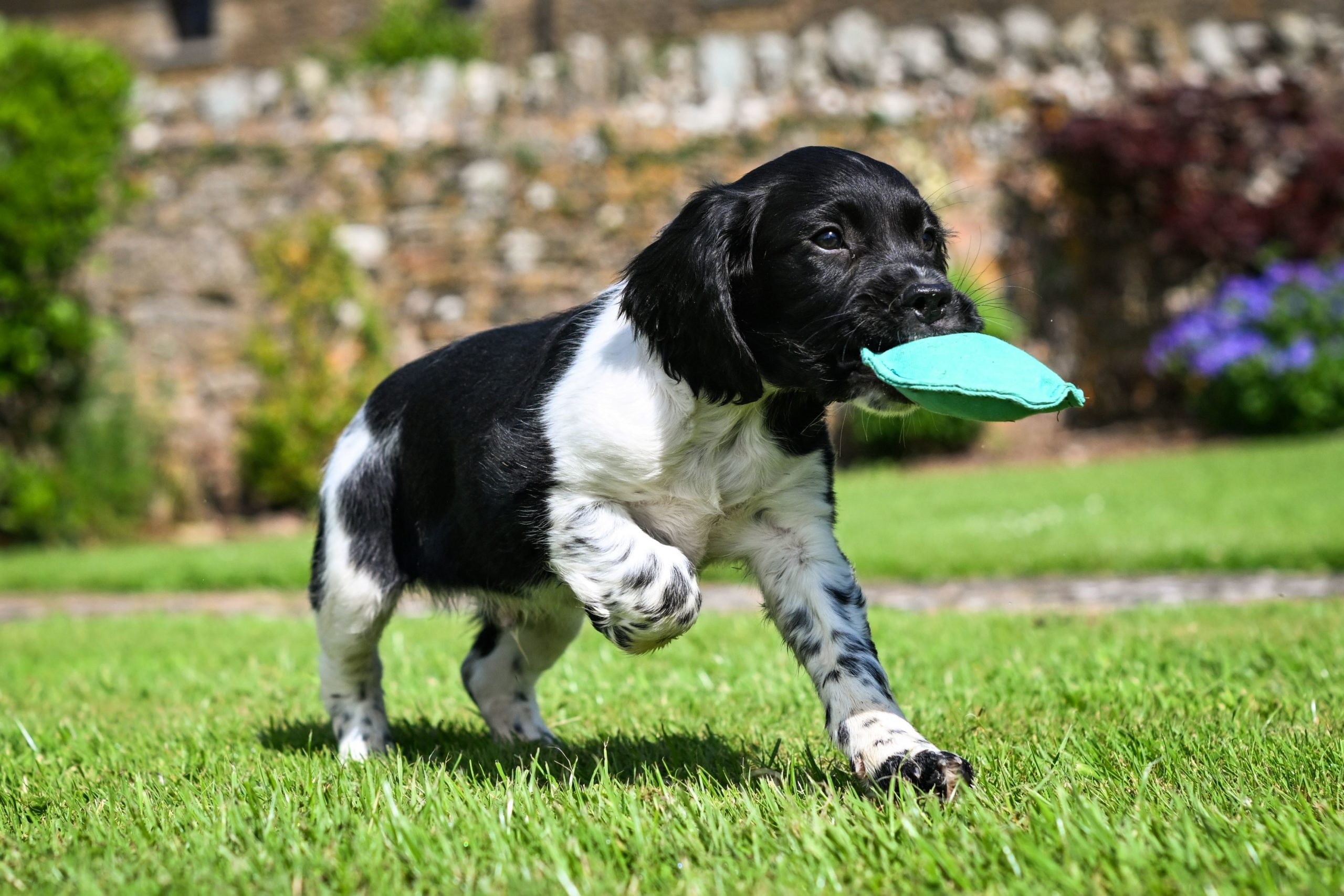 Disc Dummy Range - Image 2