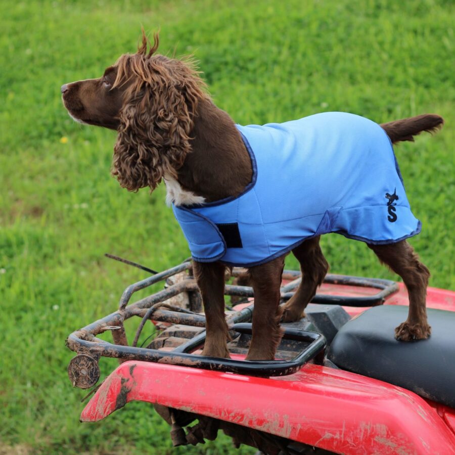 Cooling Dog Coat