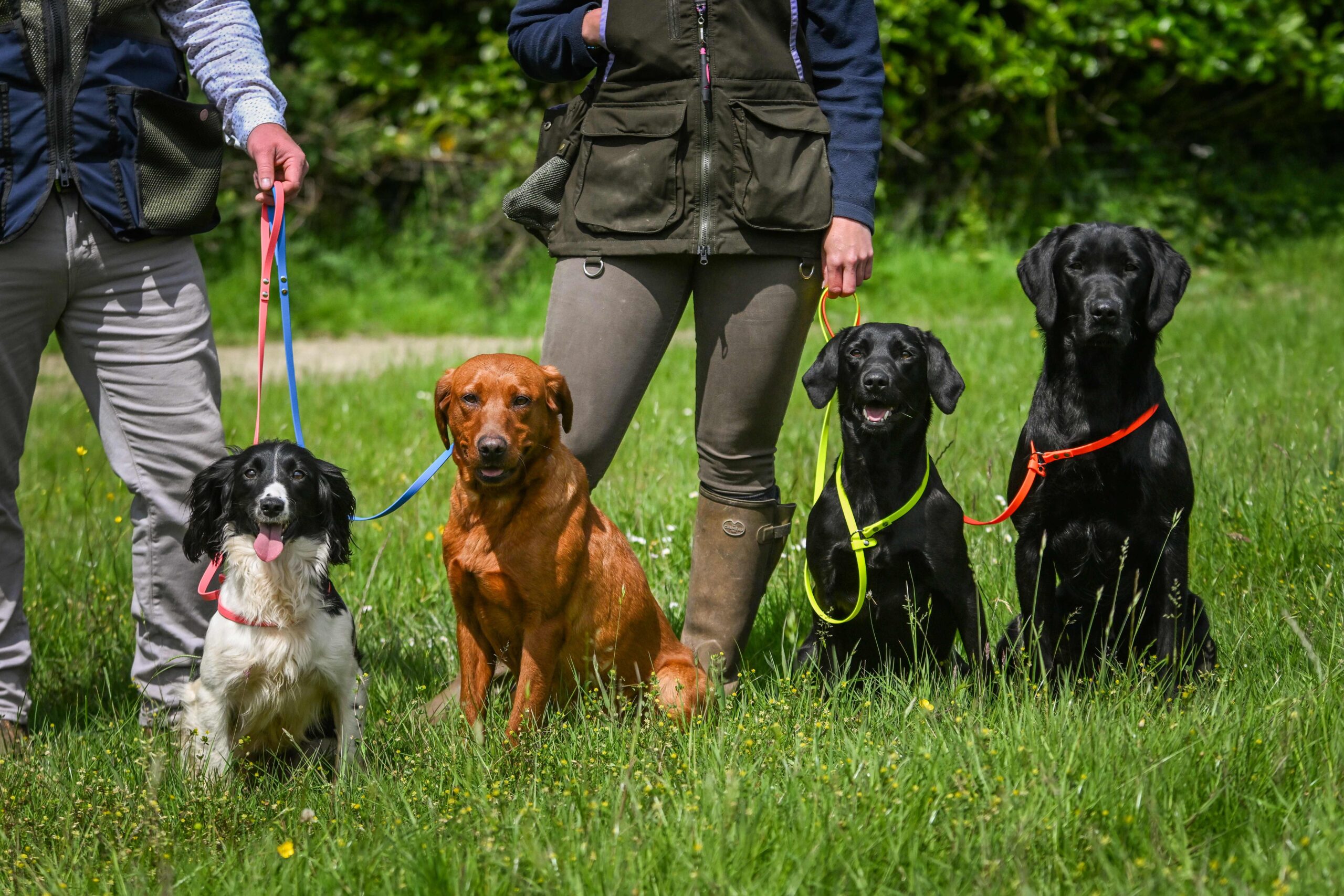 Biothane Slip Lead - Image 2