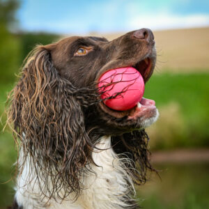 Rubber Ball - Image 3