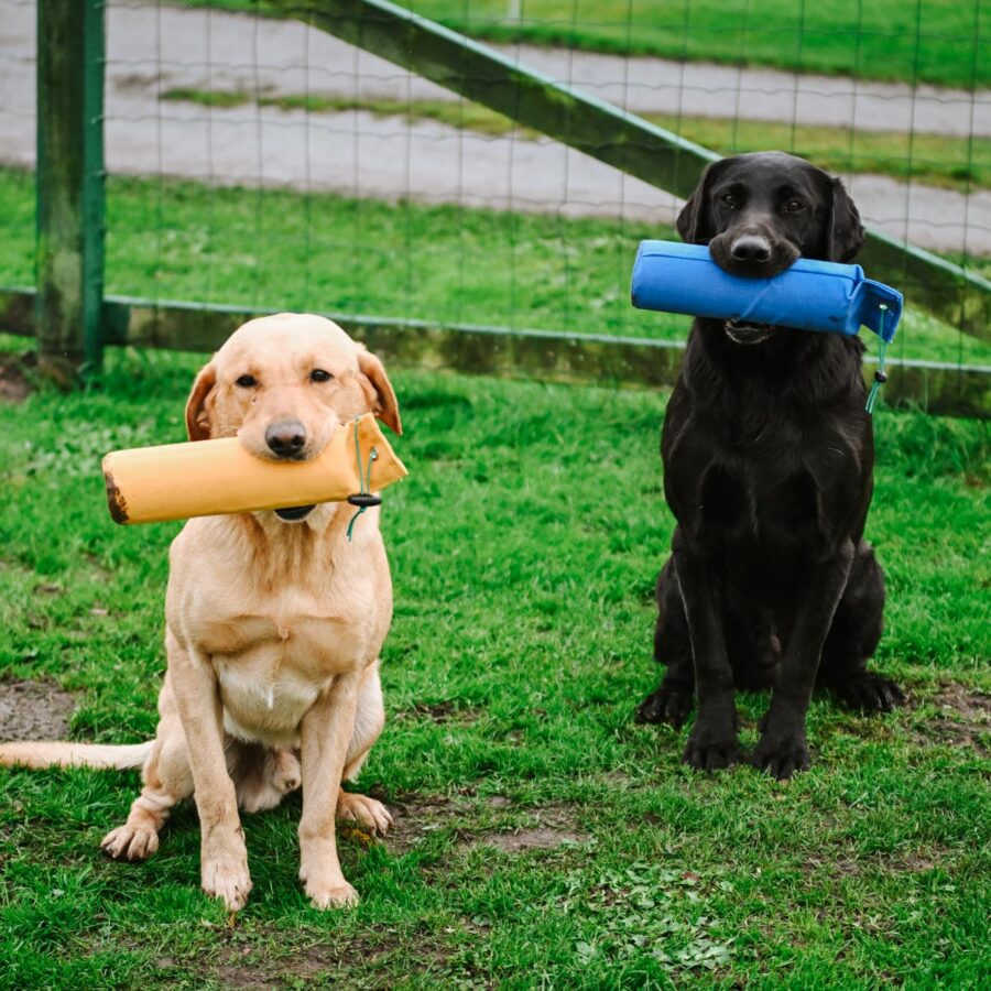 Drill Dummy by Laura Hill
