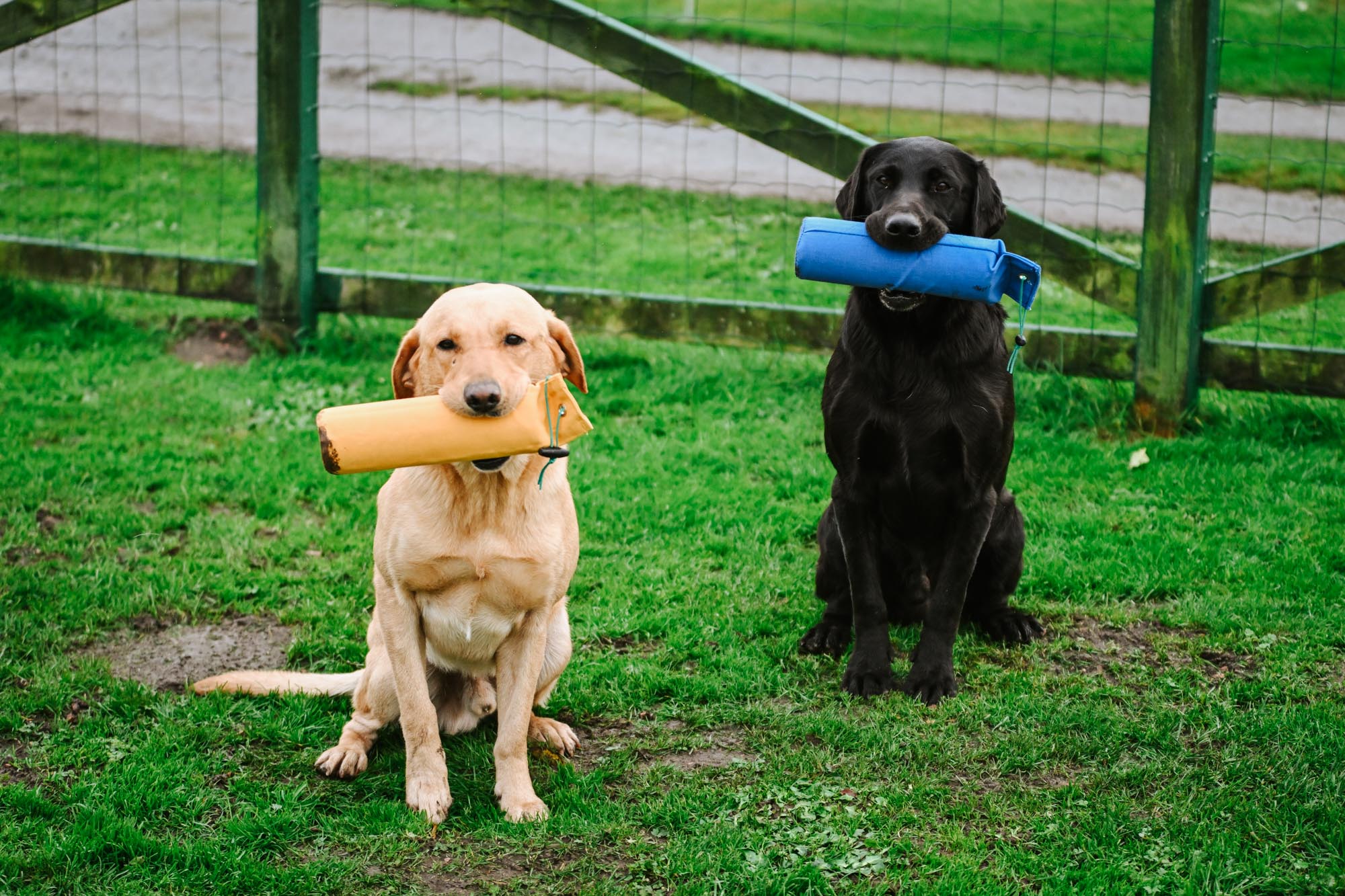 Drill Dummy by Laura Hill - Image 3
