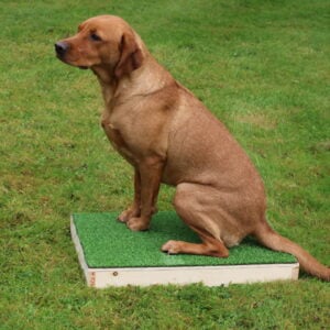 Placeboard - Image 2