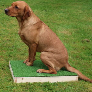 Placeboard - Image 2