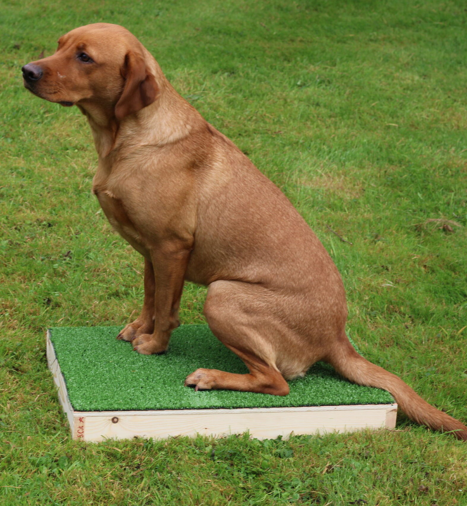 Placeboard - Image 2