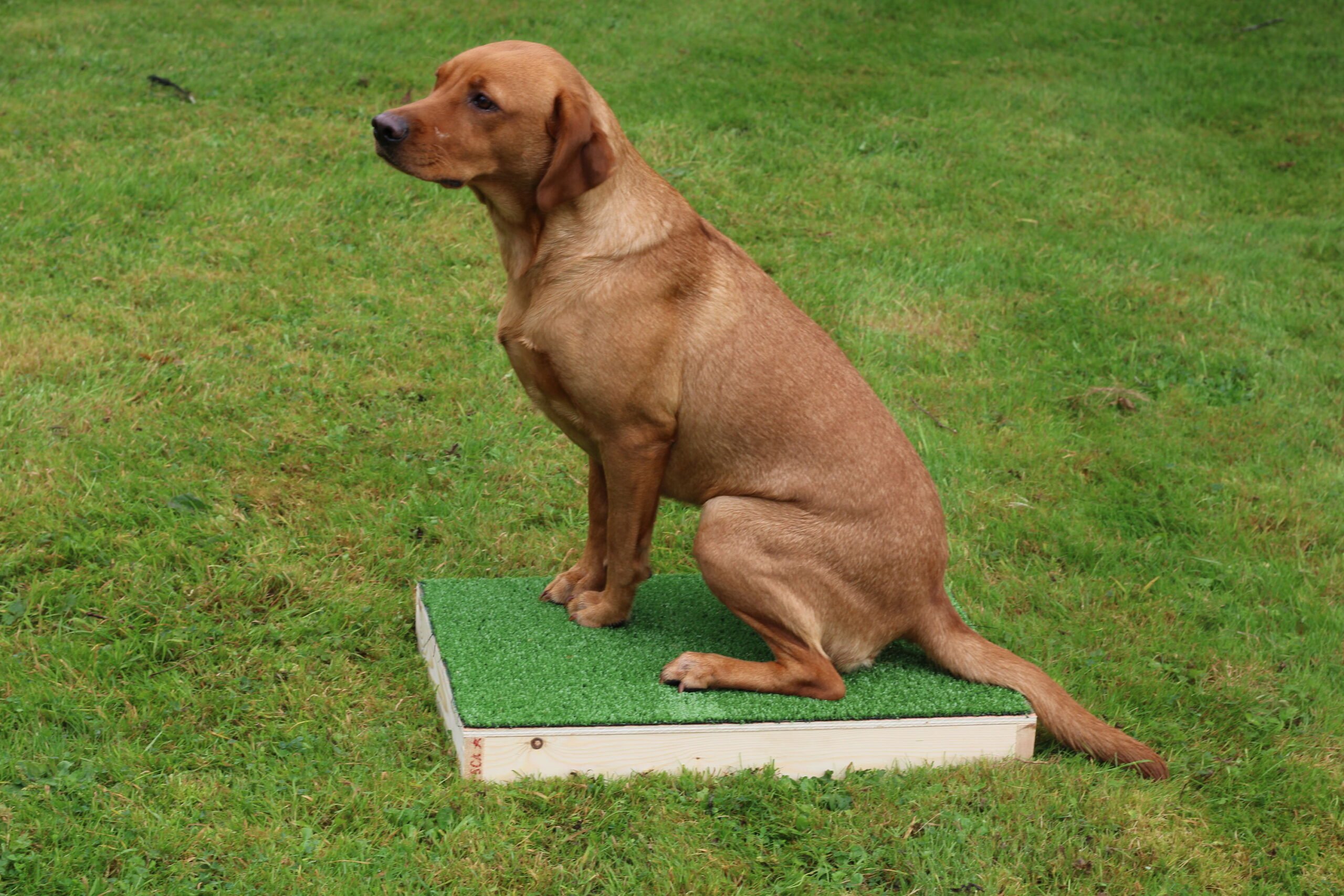 Placeboard - Image 2