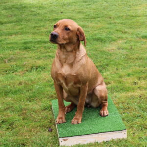 Placeboard - Image 3