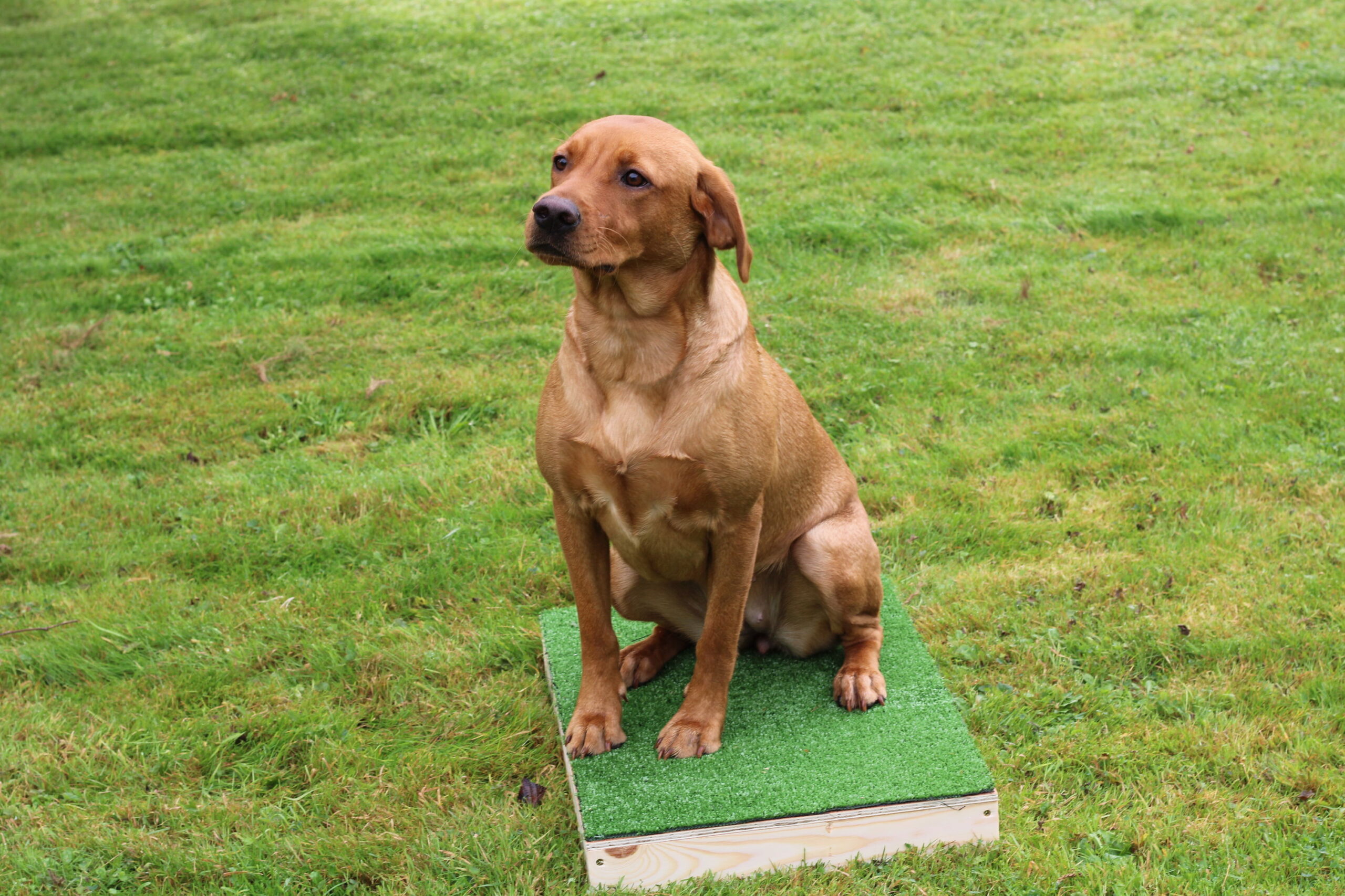 Placeboard - Image 3