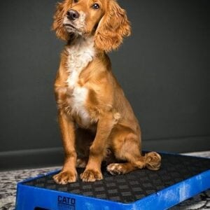 CATO Placeboards - Image 2