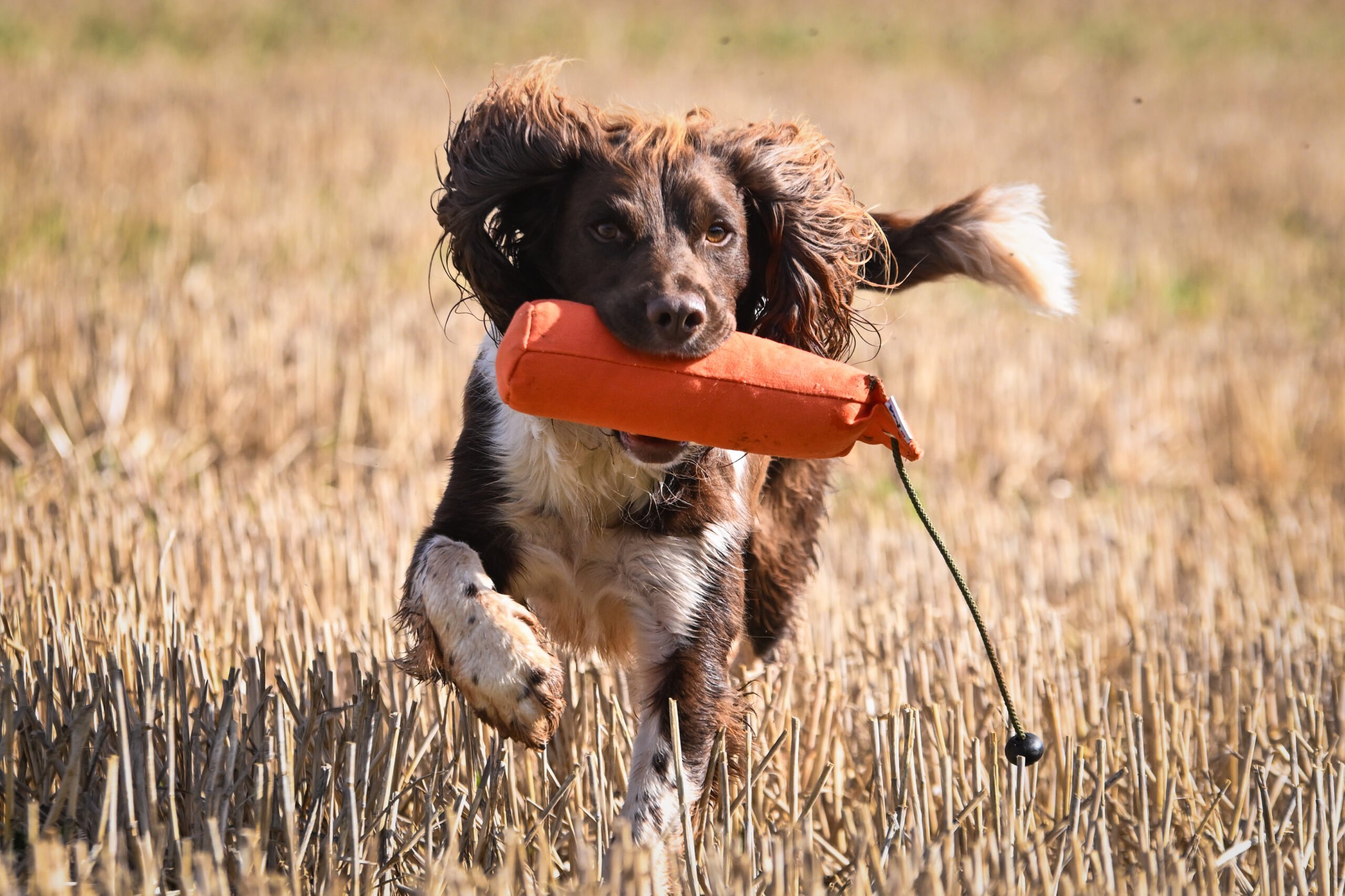 1lb Canvas Dummy with Long Throw - Image 3
