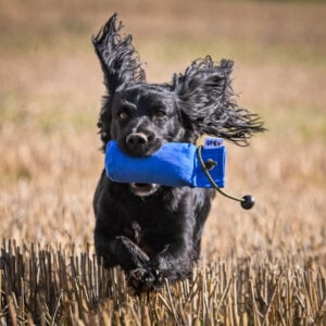 1/2lb Canvas Dummy with Long Throw - Image 3