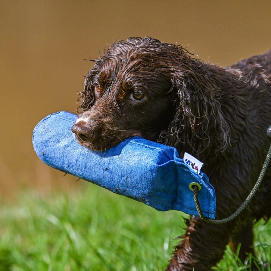 1lb Canvas Dummy with Long Throw