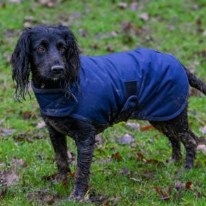 Field Trial Dog Coat - Waterproof & Warm - Image 2