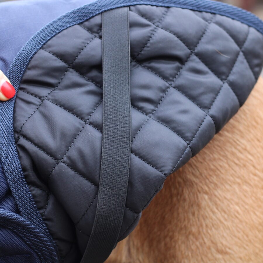 Field Trial Dog Coat - Waterproof & Warm
