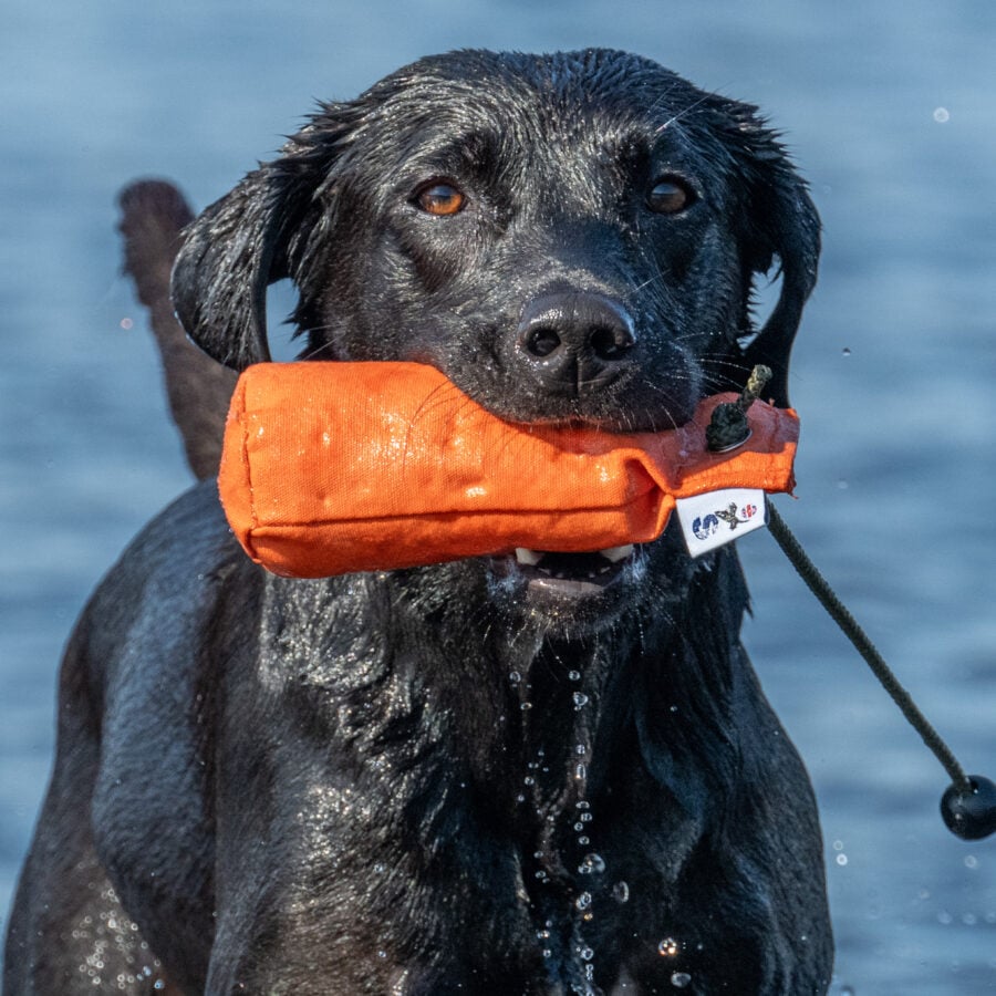 1/2lb Canvas Dummy with Long Throw