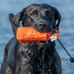 1/2lb Canvas Dummy with Long Throw - Image 2