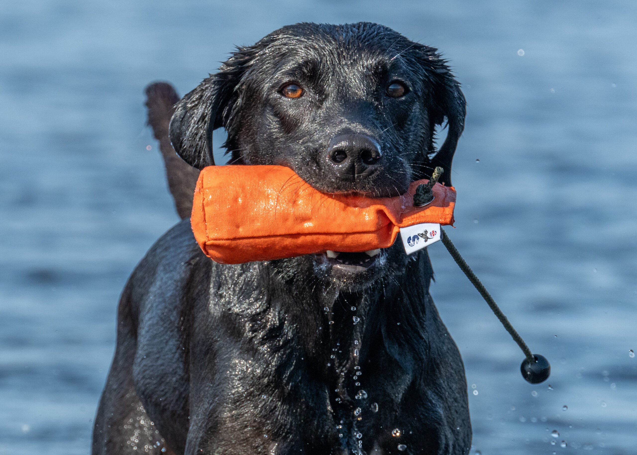 1/2lb Canvas Dummy with Long Throw - Image 2